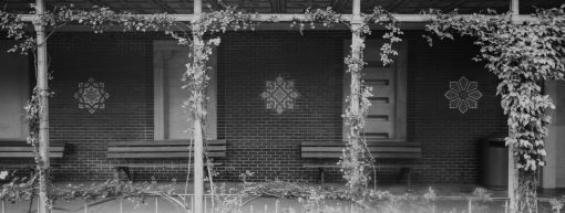 Agfa APX100 New/45mm